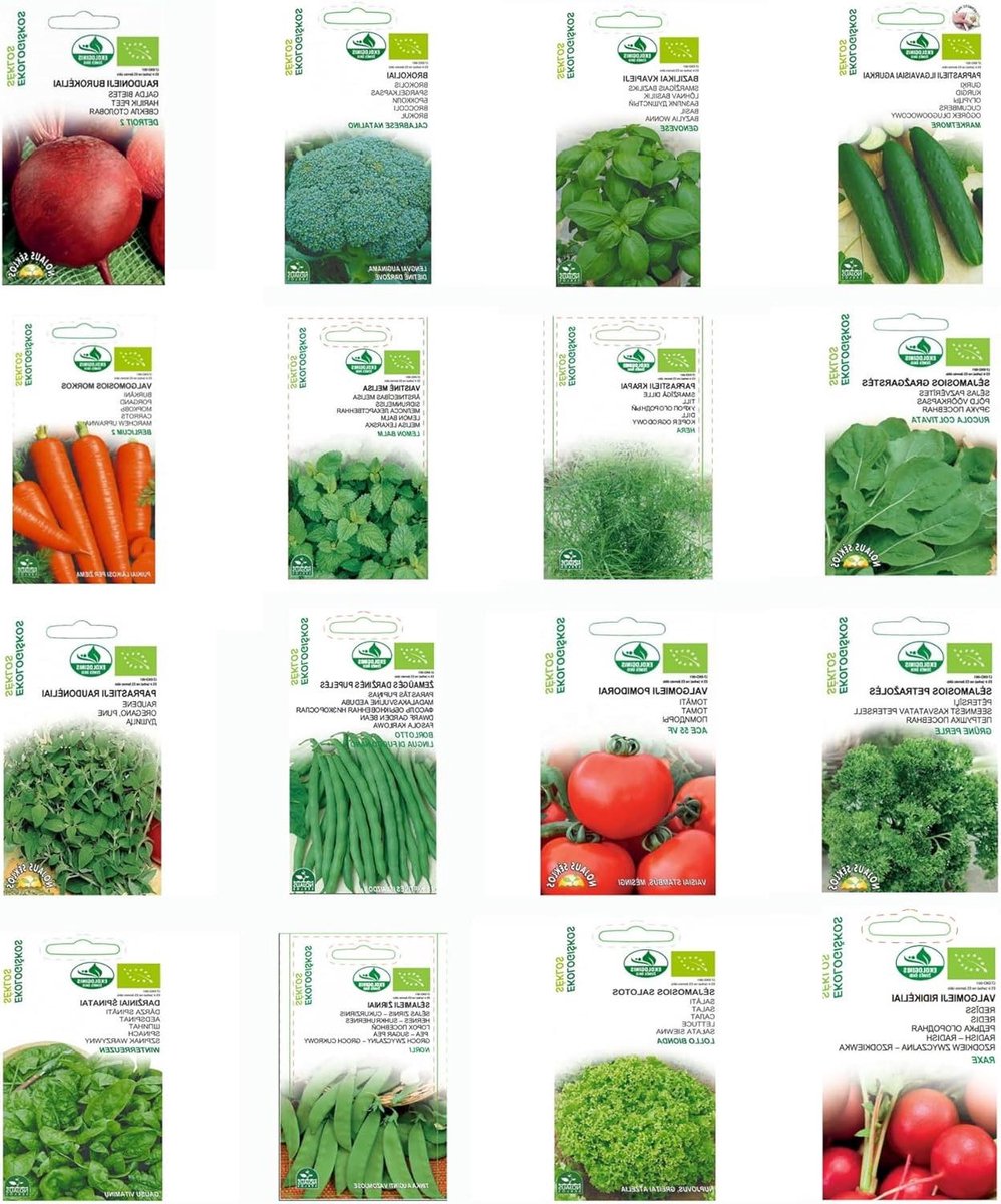 Groente- en Kruidenverzameling Zaad Set - 16 Pakjes - Verschillende Plant Starterkit - Tuinplanting Zaden - 16 Soorten - Zaadbox