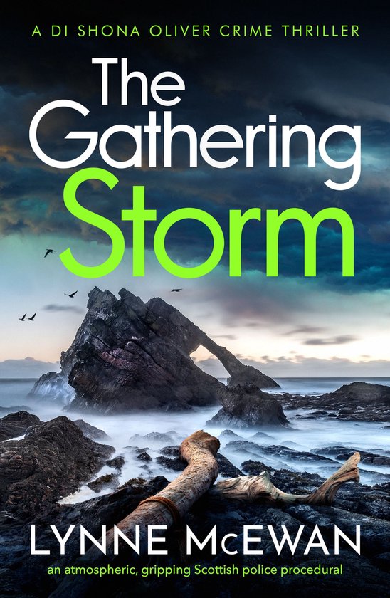 Detective Shona Oliver 4 - The Gathering Storm - cover
