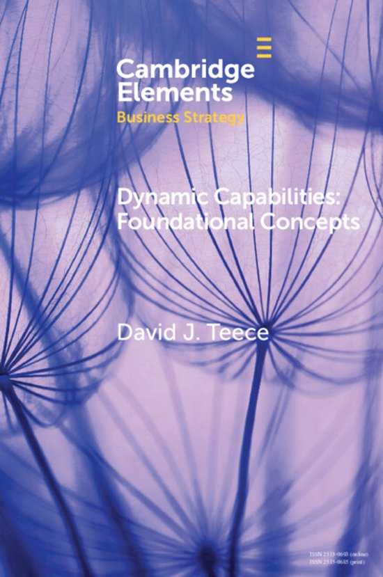 Elements in Business Strategy- Dynamic Capabilities - cover