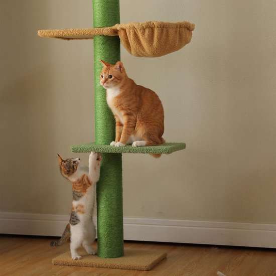 Oranje kat op een groen plateau, witte kitten krabt aan een groene paal.