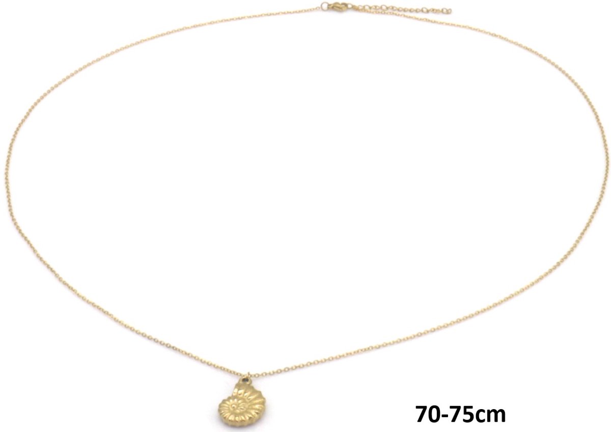 Ketting Schelp – RVS – 75cm