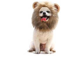 Leeuwenmanen hond S - kleding voor honden - hondenmuts- honden muts - hondenoutfit - hondenkleding - accessoires - honden outfit – hondenspeeltjes - cadeau - verjaardag hond - honden kostuum