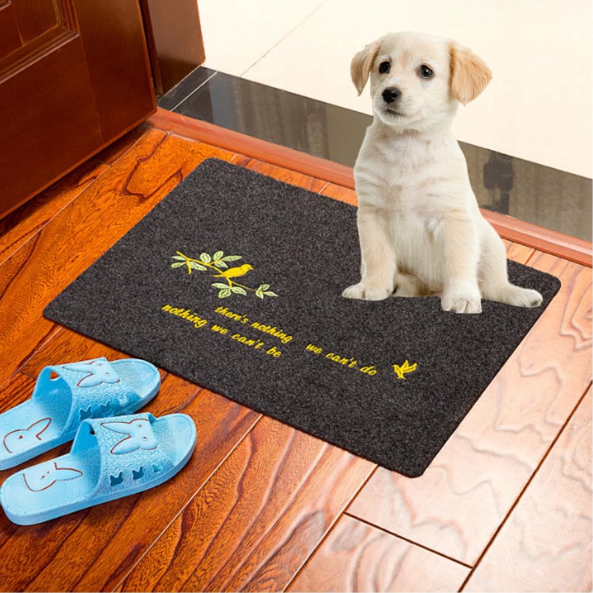 Ibenzoa Absorberende en Antislip Deurmat voor Binnengebruik met Paw Print, 40 x 60 cm, Wasbaar en Zwart