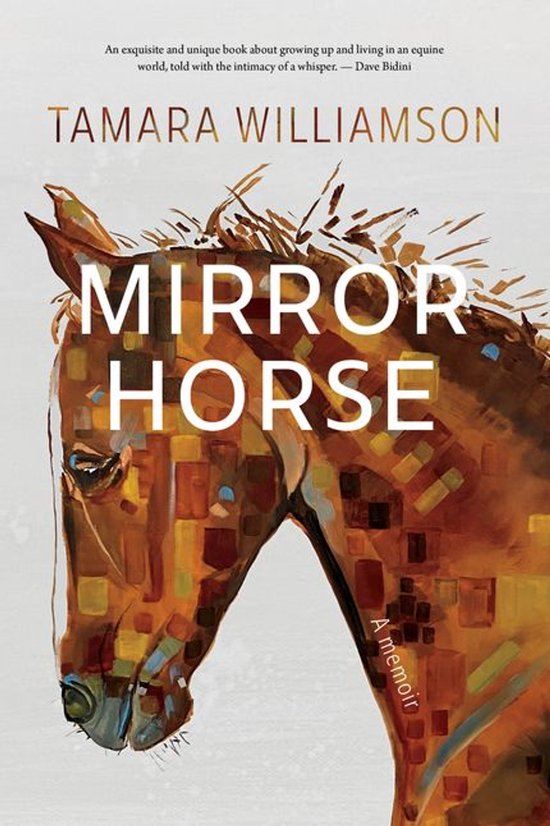 Mirror Horse - cover