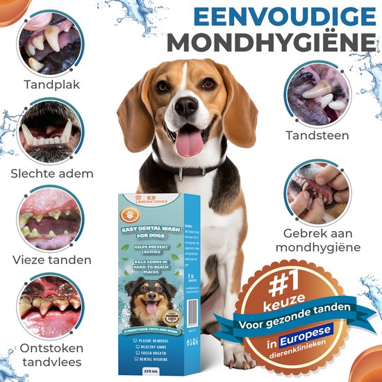 Een beagle met tandplak, tandsteen, slechte adem, vieze tanden en ontstoken tandvlees, naast K9 Laboratories Easy Dental Wash voor honden.
