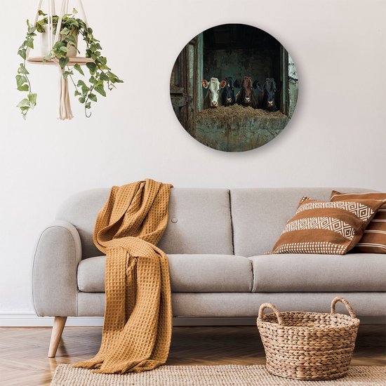 Vier nieuwsgierige koeien in stal - Koeien muurcirkels - Wandpaneel dieren - Realistische kunst - Unieke Forex muurcirkels - Woonkamer wandkunst - muurcirkel forex 80x80 cm