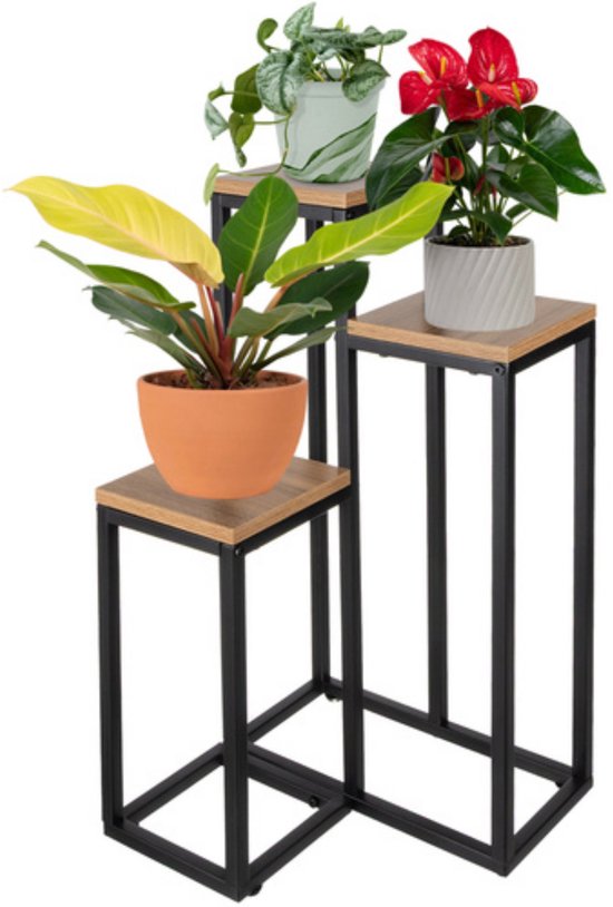 Trois supports pour plantes de différentes hauteurs avec plateaux en bois, avec des plantes dans des pots en terre cuite, gris et verts.