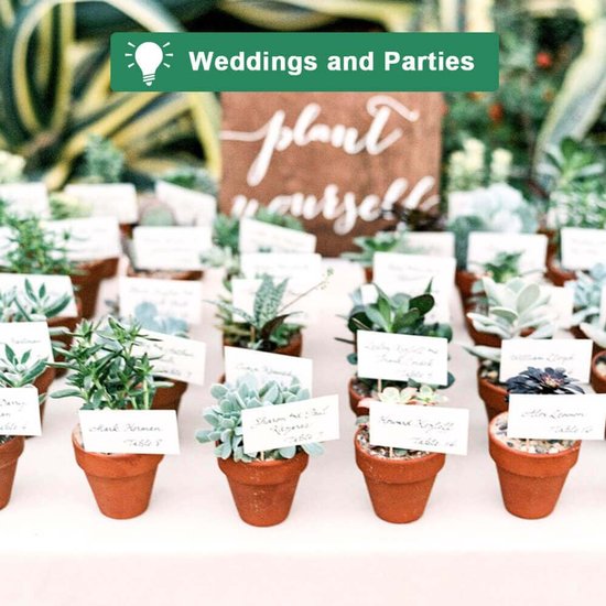 Welke planten kunnen in pot? En hoe verzorg je ze