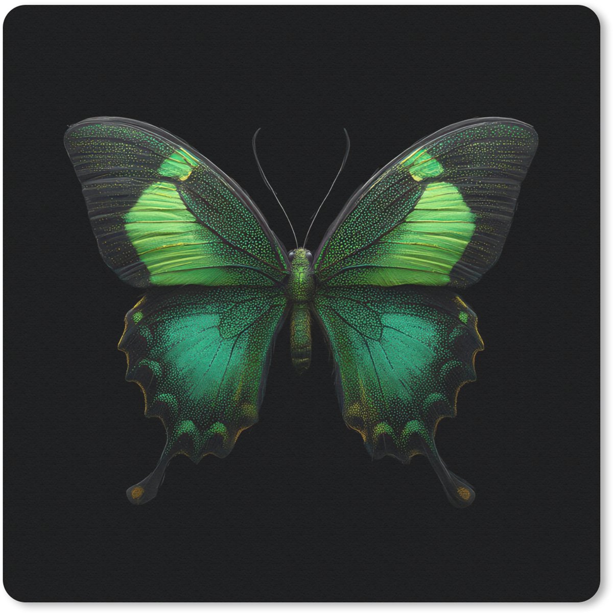 Muismat 30x30 cm - Mousepad Vlinder - Groen - Opvallend - Muismatten