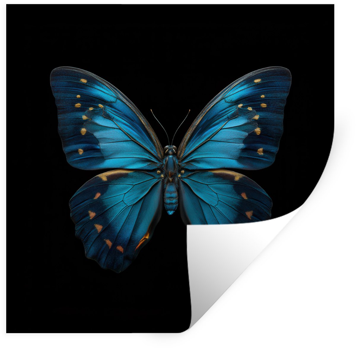 Muurstickers - Sticker Folie - Vlinder - Blauw - Contrast - 80x80 cm - Plakfolie - Muursti