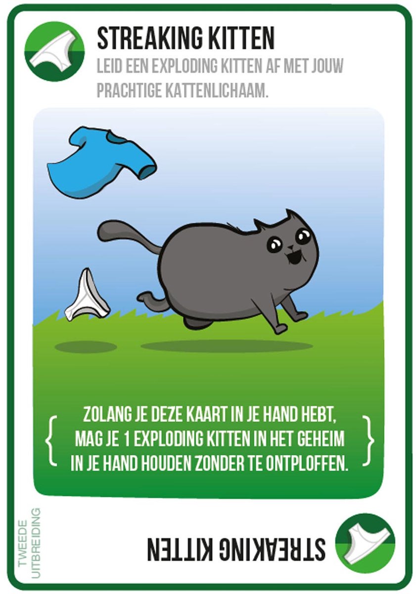 Streaking Kittens - Exploding Kittens Uitbreiding - Nederlandstalig Kaartspel — afbeelding 2