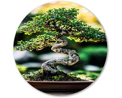 Gedetailleerde bonsai-boom in pot - Bonsai wanddecoratie rond - Ronde wanddecoratie boom - Realistische kunst - Forex muurcirkel op maat - Woondecoratie - Muurcirkel forex 40x40 cm