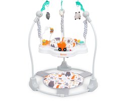 Baninni Jumper Bébé Salta Grijs