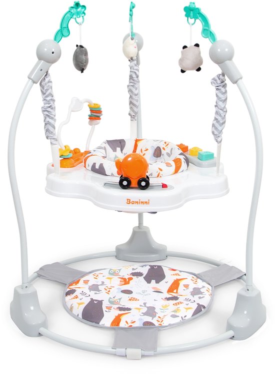 Baninni Baby Jumper Salta Grijs