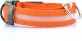 WVspecials Halsband voor hond met led verlichting Oranje - Maat L (41-52cm) - lichtgevende hondenhalsband - Black Friday - Sinterklaas - Kerst