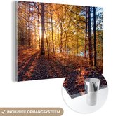 Le soleil d'automne brille sur les feuilles d'une forêt Plexiglas 180x120 cm - Tirage photo sur Glas (décoration murale plexiglas) XXL / Groot format!