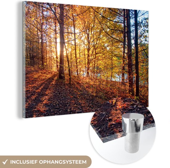 Le soleil d'automne brille sur les feuilles d'une forêt Plexiglas 180x120 cm - Tirage photo sur Glas (décoration murale plexiglas) XXL / Groot format!