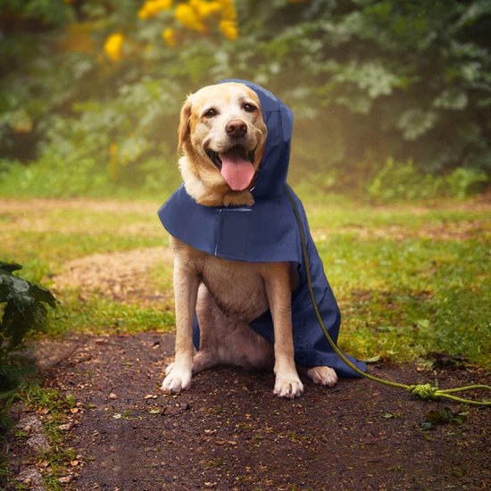 Manteau harnais imperméable réfléchissant pour chien 