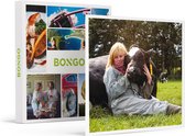 Bongo Bon - EEN LOEIEND BOEIEND MOMENT VOOR 2: HALVE DAG KOEKNUFFELEN IN DE KEMPEN - Cadeaukaart cadeau voor man of vrouw