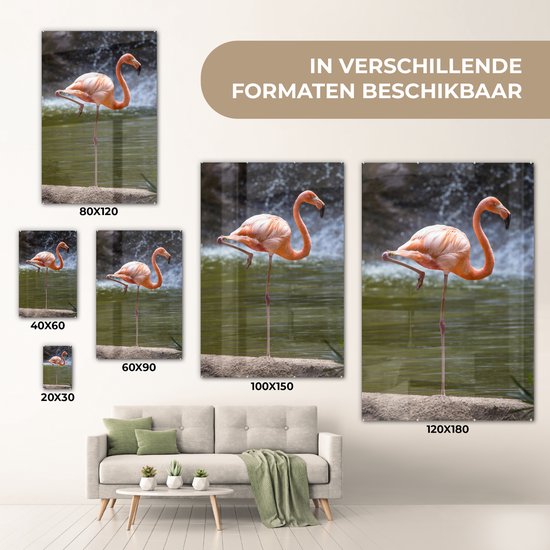Flamant rose fond sombre Verre 20x30 cm - petit - Tirage photo sur verre (décoration murale en plexiglas)