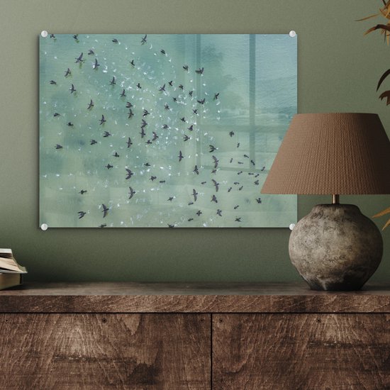 MuchoWow® Peinture sur verre 40x30 cm - Peinture sur verre acrylique - Vue de dessus des oiseaux au-dessus de la mer - Photo sur verre - Peintures
