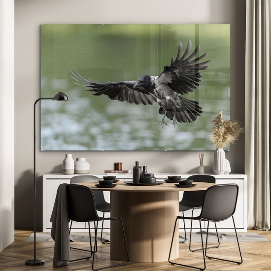 Ailes déployées du corbeau à capuchon Plexiglas 180x120 cm - Tirage photo sur Glas (décoration murale plexiglas) XXL / Groot format!