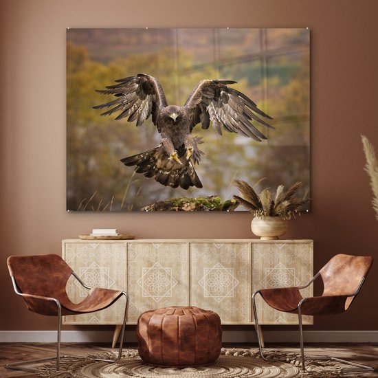 Atterrissage aigle royal aux ailes courbes Plexiglas 160x120 cm - Tirage photo sur Glas (décoration murale plexiglas) XXL / Groot format!