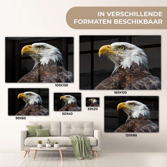 MuchoWow® Peinture sur verre 60x40 cm - Peinture sur verre acrylique - Aigle - Vogel - Yeux - Bec - Photo sur verre - Peintures
