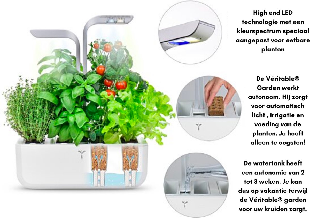 Potager d'intérieur Autonome Véritable EXKY Classic - Livré avec 2