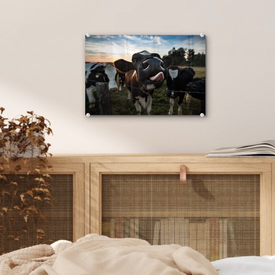 MuchoWow® Peinture sur verre 30x20 cm - Peinture sur verre acrylique - Vache - Animal - Gros plan - Photo sur verre - Peintures