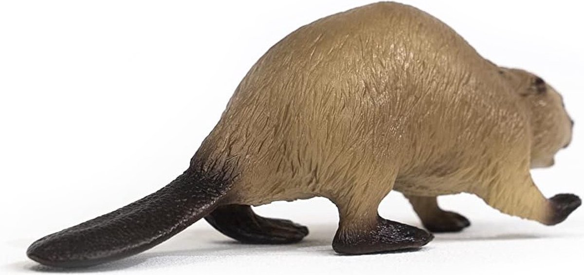 schleich WILD LIFE - Bever - 14855 — afbeelding 4