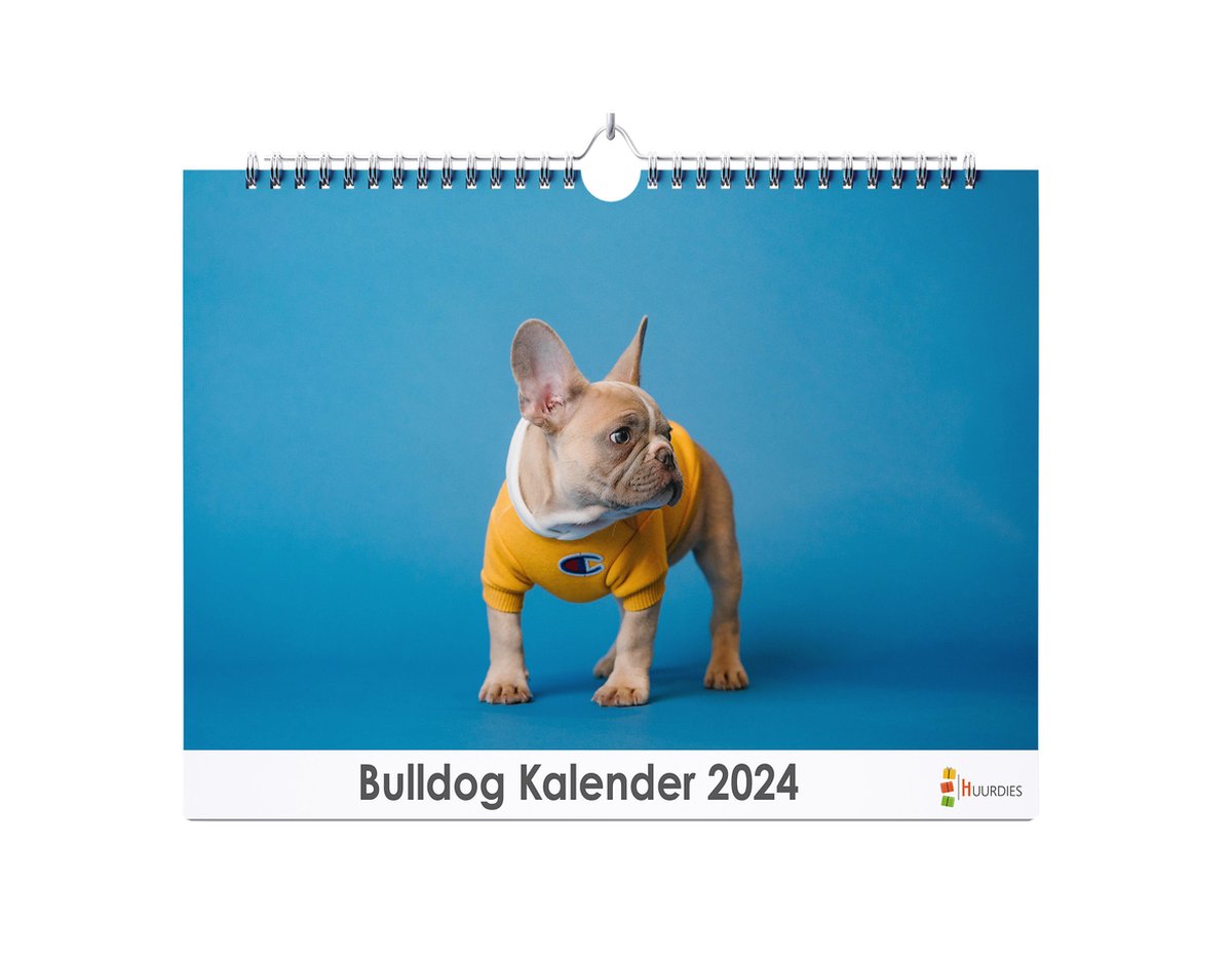 XL 2024 Kalender - Jaarkalender - Bulldog