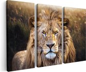 Artaza Peinture sur toile triptyque Lion dans la nature – Tête de lion – 60 x 40 – Klein – Photo sur toile – Impression sur toile
