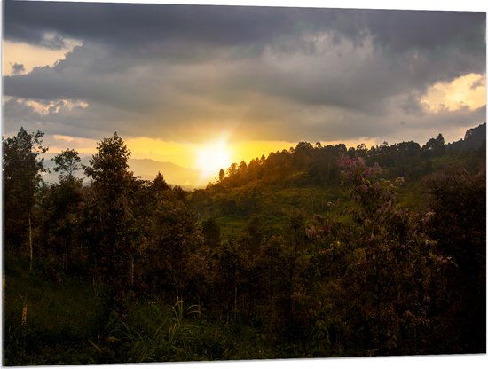 Acrylglas - Zon - Zonsondergang - Bloemen - Bomen - Berg - 100x75 cm Foto op Acrylglas (Met Ophangsysteem)