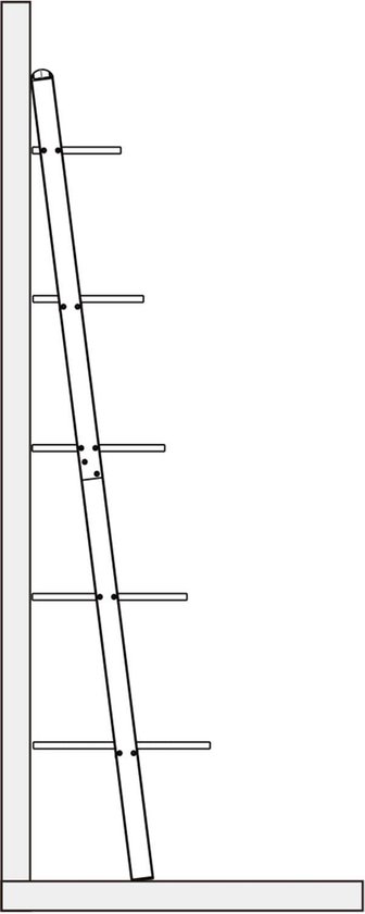 Rootz Leiterregal - Ladderplank - Trapplank - Metalen standaard - Houten rek - Displayeenheid - Boekenkast - Wit + Zwart - 50x18,5x2,2 inch