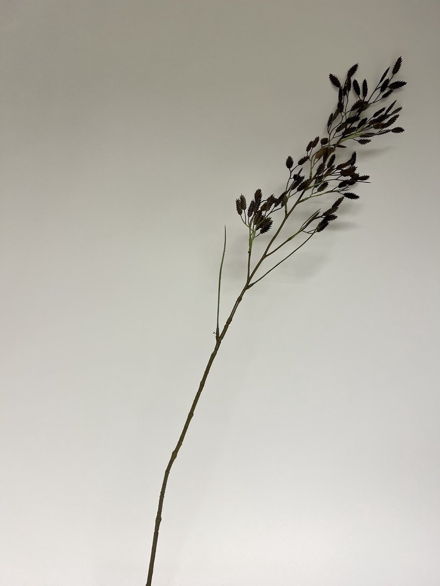 Myflowers b.v. Zijden kunstbloem Raaigras Bruin Lengte 100 centimeter