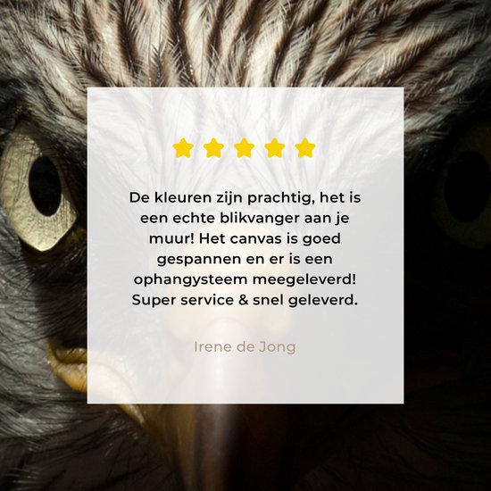 Peinture sur toile 140x90 cm - Décoration murale Vogel - Aigle - Rapaces - Oeil - Bec - Lumière - Décoration murale murale salon - Décoration chambre - Accessoires de chambre - Peintures