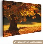 Canvas Schilderij Een esdoornboom in de herfst - 90x60 cm - Wanddecoratie