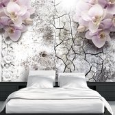 Fotobehangkoning - Behang - Vliesbehang - Fotobehang - Orchideeën op Betonnen Muur - 250 x 175 cm