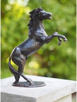 Tuinbeeld - bronzen beeld - Klein steigerend paardje - Bronzartes - 24 cm hoog
