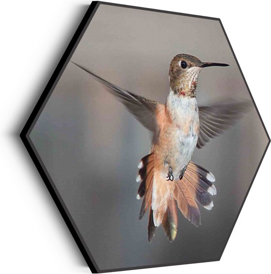 Akoestisch Schilderij De Vliegende Kolibrie Vogel Hexagon Basic M (60 X 52 CM) - Akoestisch paneel - Akoestische Panelen - Akoestische wanddecoratie - Akoestisch wandpaneel