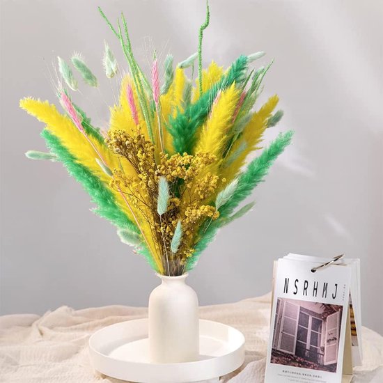 Gedroogd Pampasgras,Natuurlijke Gedroogde Bloemen Deco DIY Vaas voor Pampas Gras Gedroogd Boeket, Ideaal voor Boho Woonkamer Slaapkamer en Vazen Deco (70 stuks)