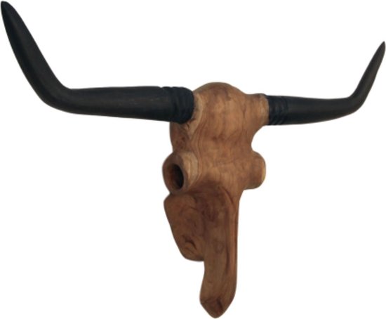 Longhorn wanddecoratie, koe schedel wanddecoratie, 178 cm ossenschedel