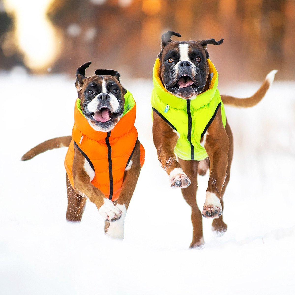 Collar Pet Airyvest Hondenjas Oranje M40