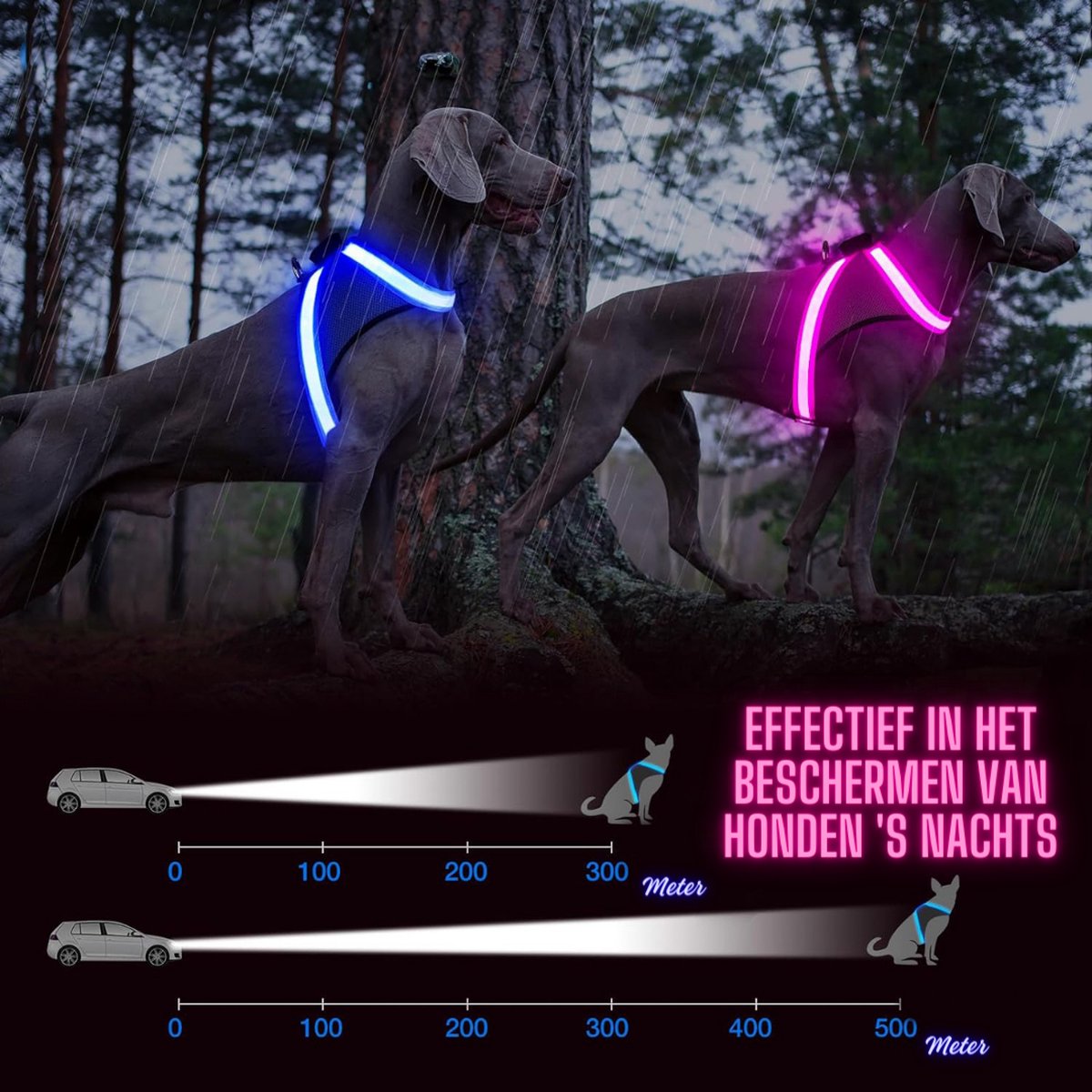 LED Harnais pour chien Harnais pour chat Rechargeable Réfléchissant M