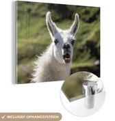 MuchoWow® Peinture sur verre 160x120 cm - Peinture sur verre - Lama - Drôle - Enfants - Garçons - Filles - Kids - Photo sur verre acrylique - Peintures