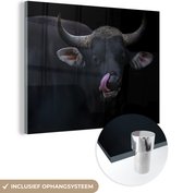 MuchoWow® Glasschilderij 160x120 cm - Schilderij acrylglas - Likkende stier voor een zwarte achtergrond - Foto op glas - Schilderijen