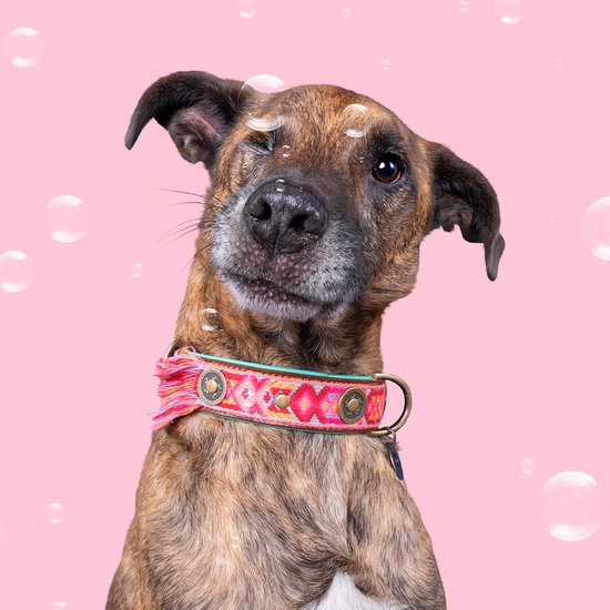 DWAM Dog with a Mission – Halsband Hond – Hondenhalsband – Roze – L – Leer – Halsomvang tussen 38-47 x 4 cm – Boho Rosa