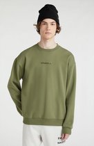 O'neill Truien FUTURE SURF SOCIETY SWEATSHIRT