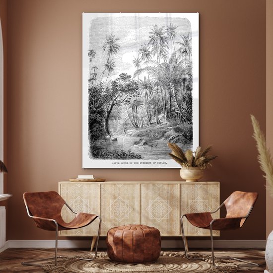 MuchoWow® Peinture sur Verre - Une Illustration d'une Rangée de Palmiers au Sri Lanka - 120x160 cm - Peintures sur Verre Acrylique - Photo sur Glas